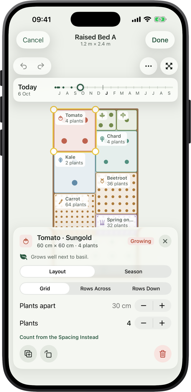 A tomato block selected in the planner, with a note that tomatoes grow well next to basil